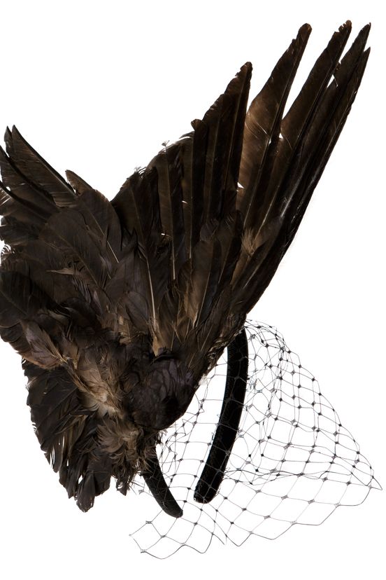 accessory<br>FW19