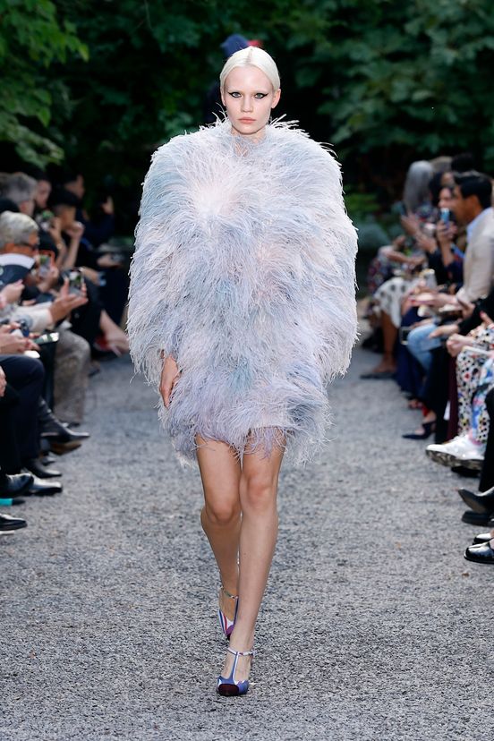 feather