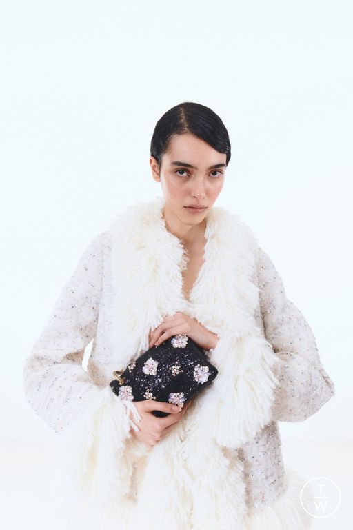 Pre-Fall 2025 Giambattista Valli Look 41