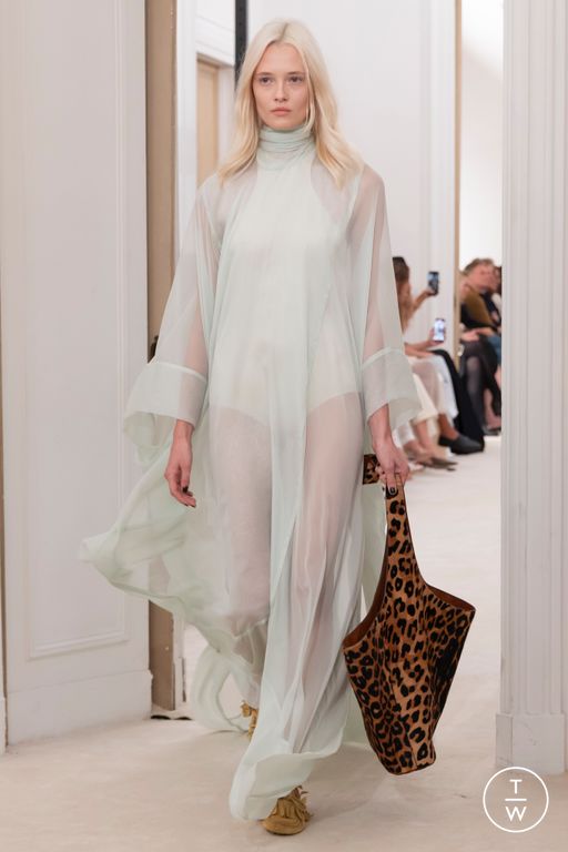 SS26 Alberta Ferretti Look 38