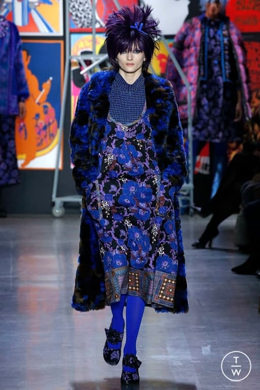 FW19 Anna Sui Look 3