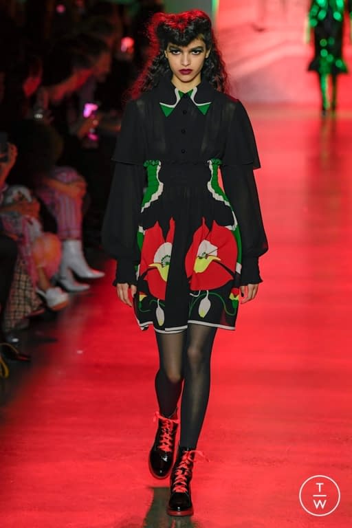 FW20 Anna Sui Look 3