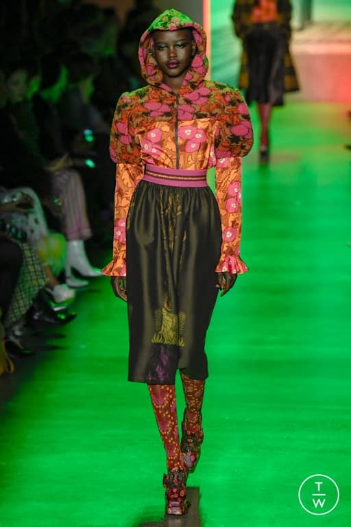 FW20 Anna Sui Look 34