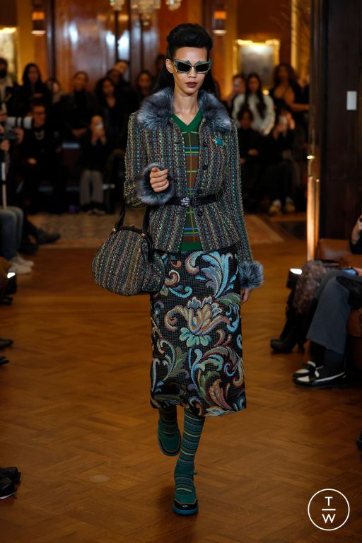 FW25 Anna Sui Look 10
