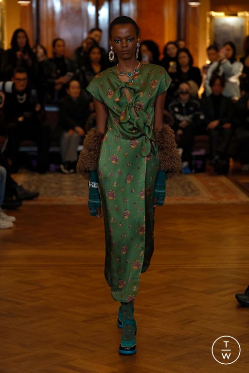 FW25 Anna Sui Look 14