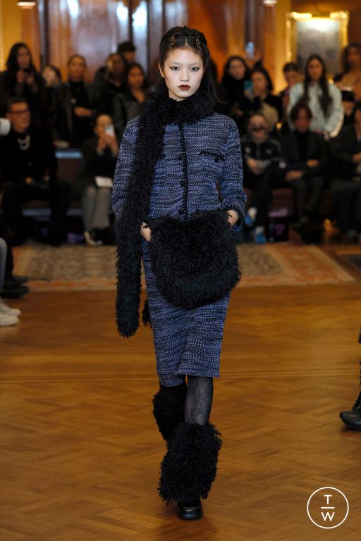 FW25 Anna Sui Look 24