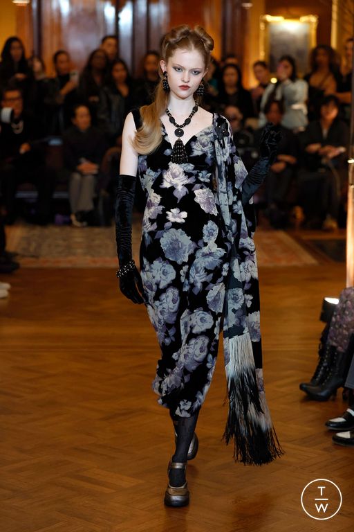 FW25 Anna Sui Look 28