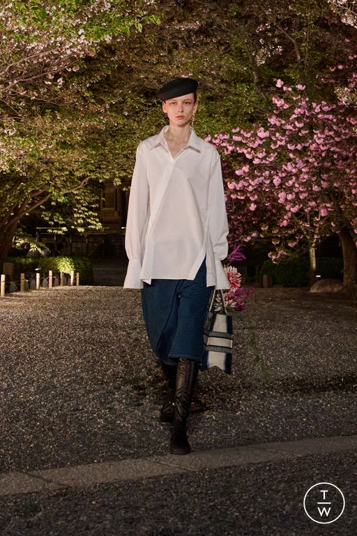 Pre-Fall 2025 Dior Look 10