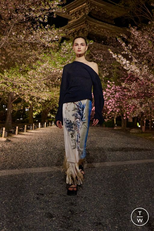 Pre-Fall 2025 Dior Look 15