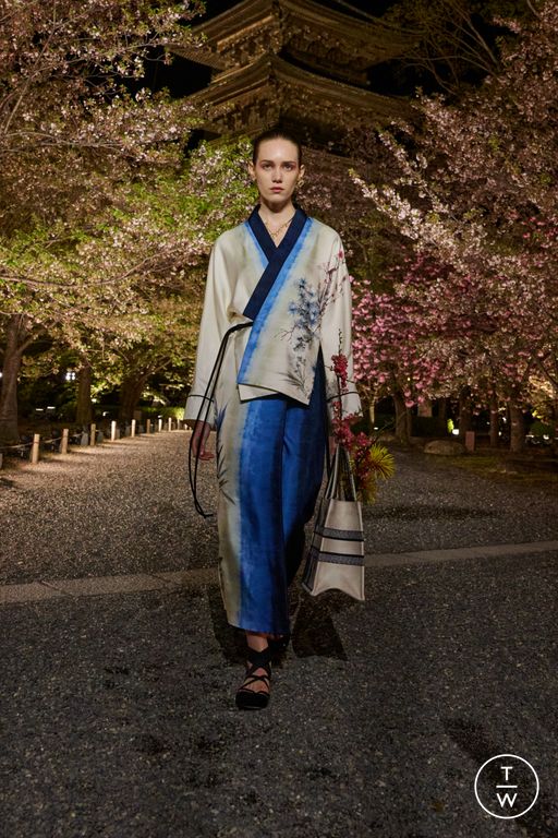 Pre-Fall 2025 Dior Look 17