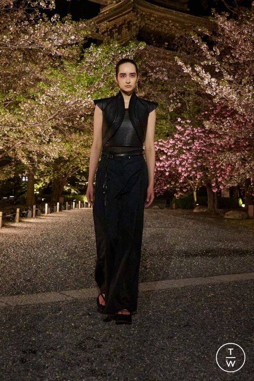 Pre-Fall 2025 Dior Look 25