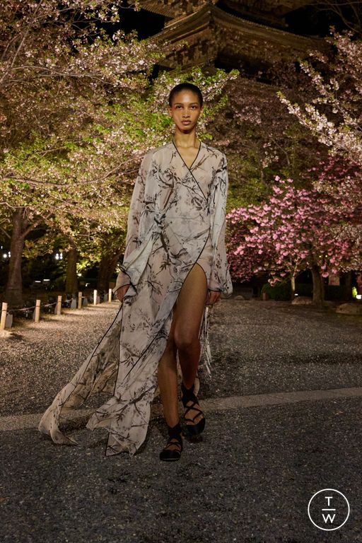Pre-Fall 2025 Dior Look 27
