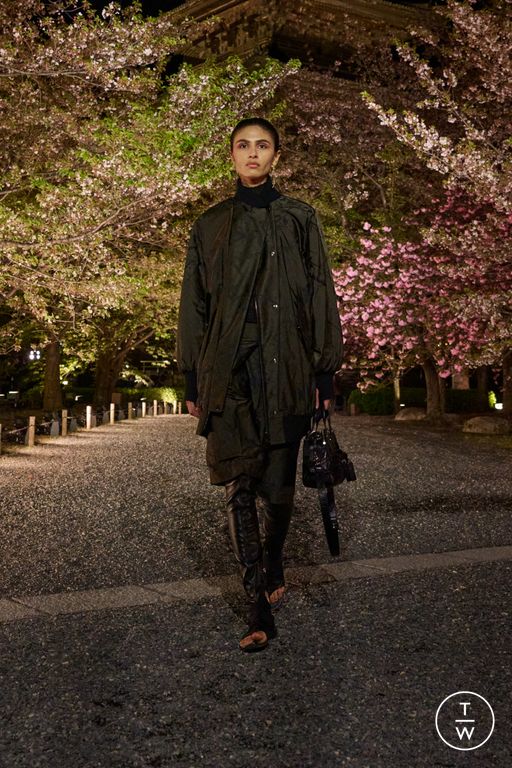 Pre-Fall 2025 Dior Look 29