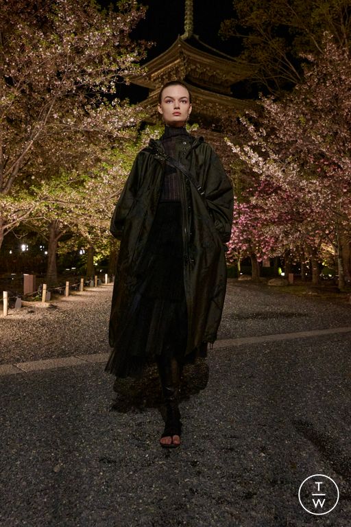 Pre-Fall 2025 Dior Look 30