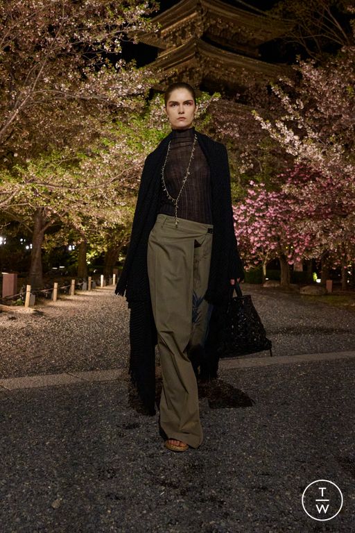 Pre-Fall 2025 Dior Look 33