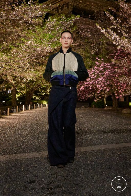 Pre-Fall 2025 Dior Look 39