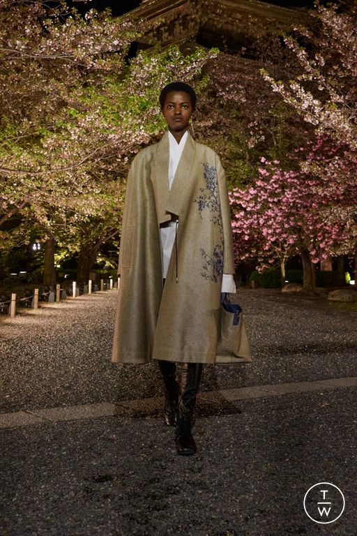 Pre-Fall 2025 Dior Look 43