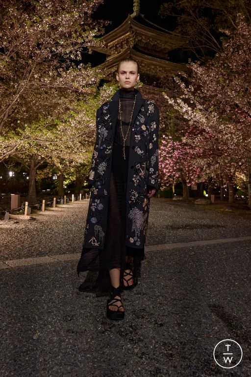 Pre-Fall 2025 Dior Look 55