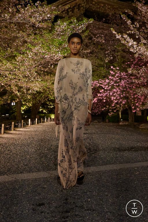 Pre-Fall 2025 Dior Look 57