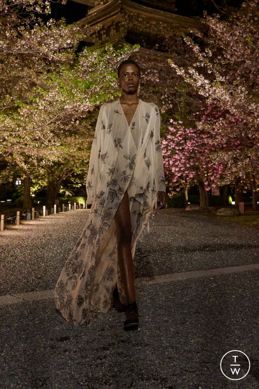 Pre-Fall 2025 Dior Look 59