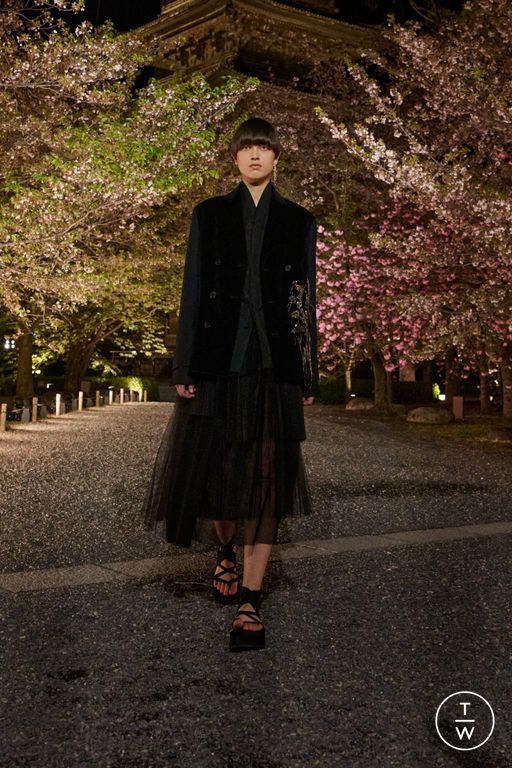 Pre-Fall 2025 Dior Look 61