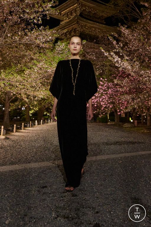 Pre-Fall 2025 Dior Look 66
