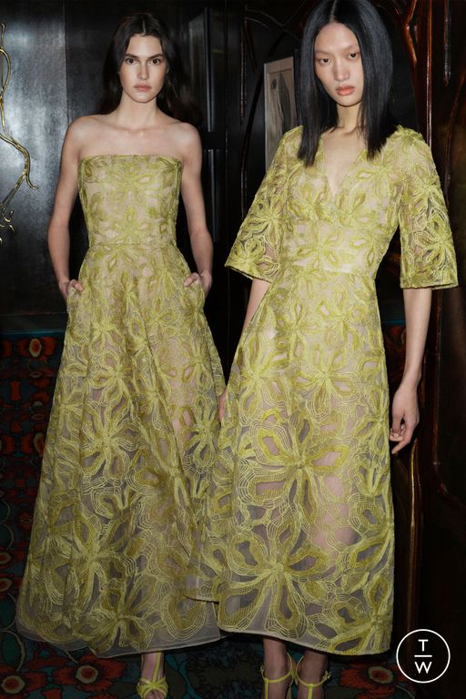 Pre-Fall 2025 Elie Saab Look 24
