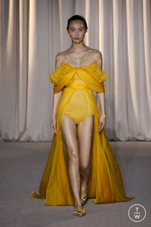 FW24 Giambattista Valli Look 2