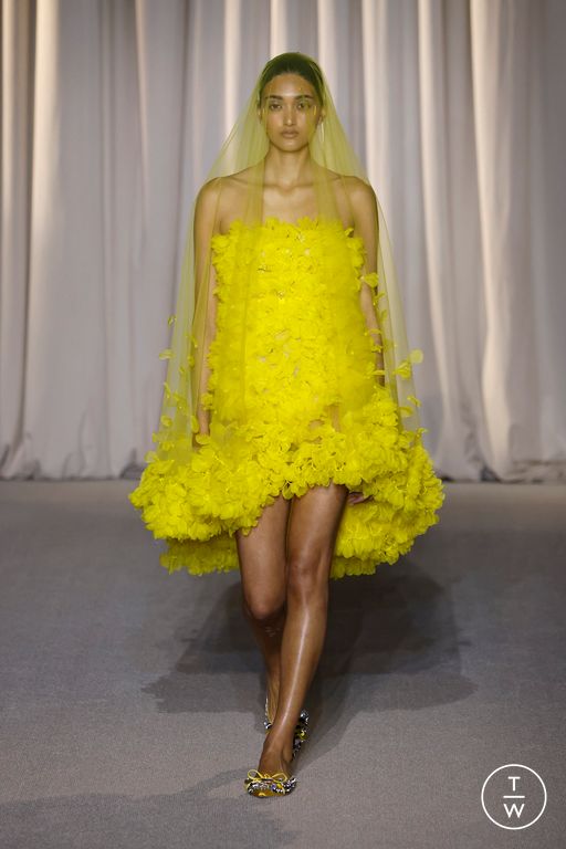FW24 Giambattista Valli Look 5