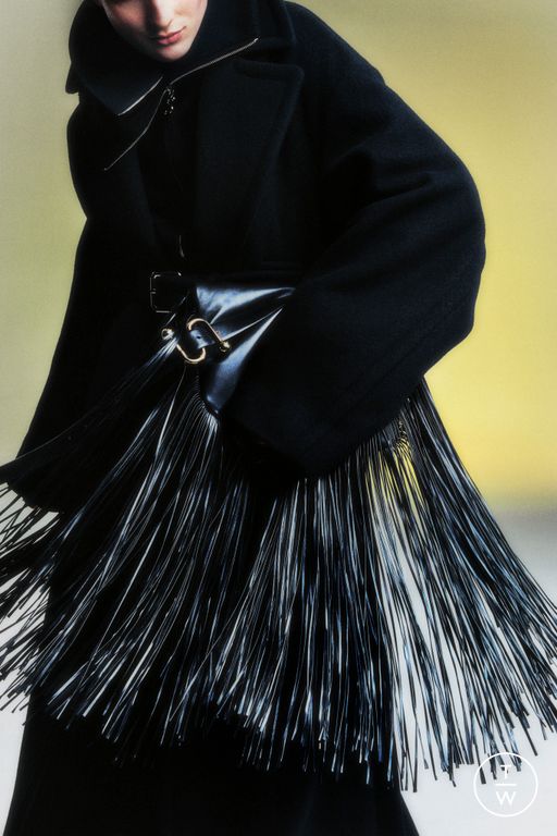 Pre-Fall 2025 Sportmax Look 10