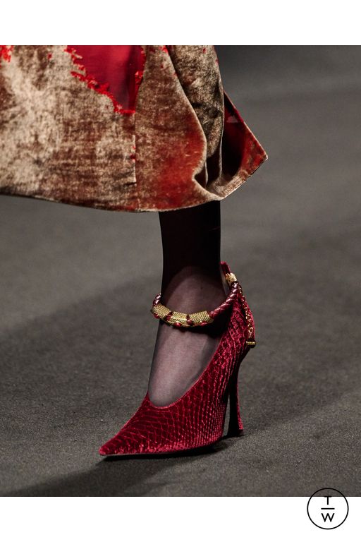 FW25 Roberto Cavalli Look 2