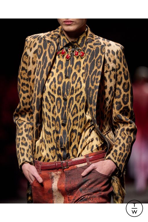 FW25 Roberto Cavalli Look 16