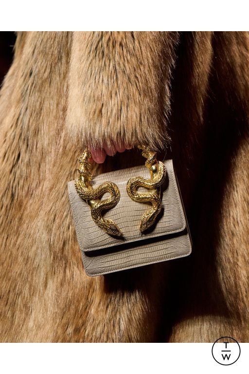 FW25 Roberto Cavalli Look 27