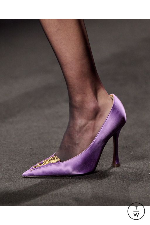 FW25 Roberto Cavalli Look 29