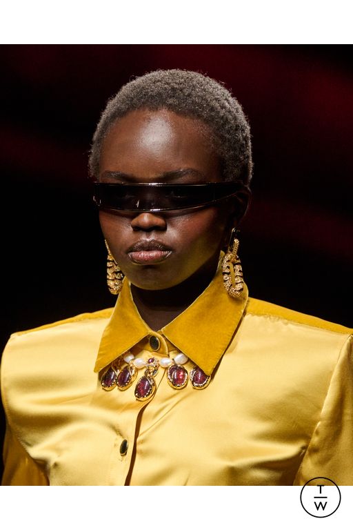 FW25 Roberto Cavalli Look 36