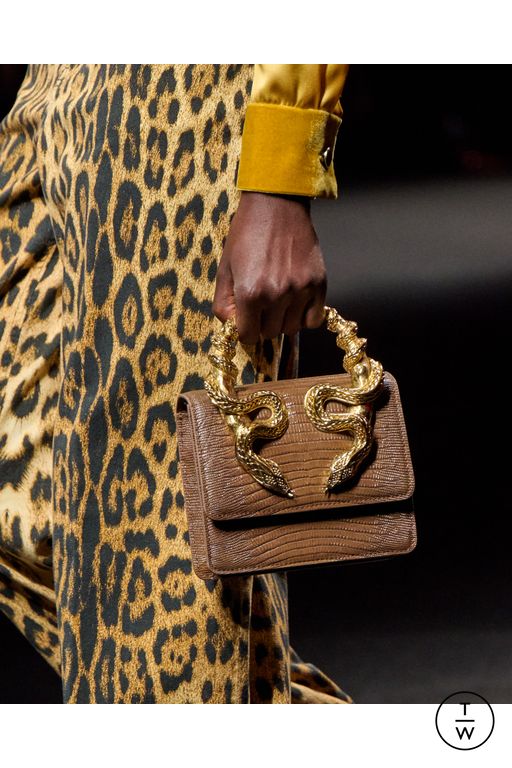 FW25 Roberto Cavalli Look 37