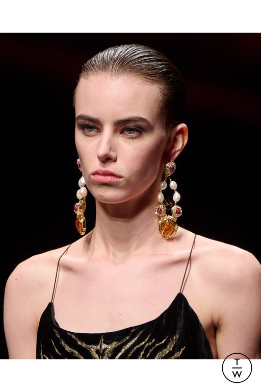 FW25 Roberto Cavalli Look 46