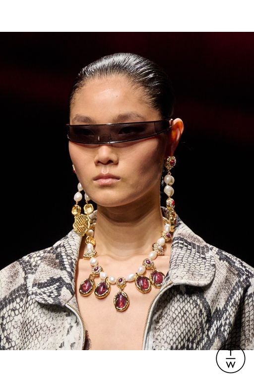 FW25 Roberto Cavalli Look 60