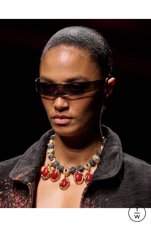 FW25 Roberto Cavalli Look 67