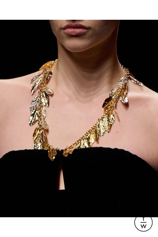 FW25 Roberto Cavalli Look 80