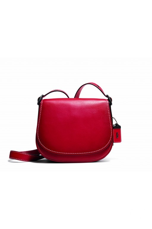 F/W 16 Coach Look 19