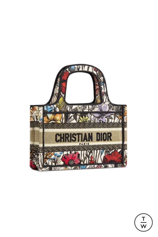 RS21 Christian Dior Look 27