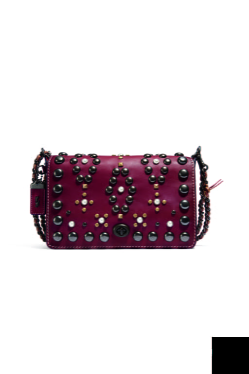 F/W 16 Coach Look 33