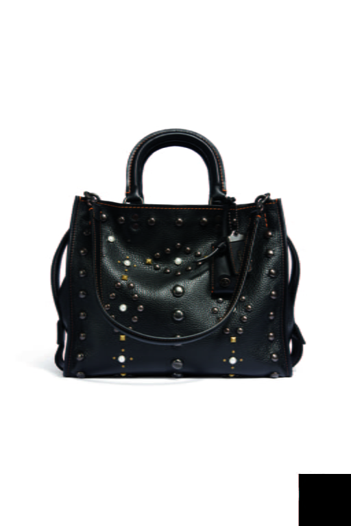 F/W 16 Coach Look 35