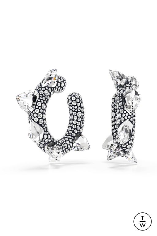 FW25 Swarovski Look 38