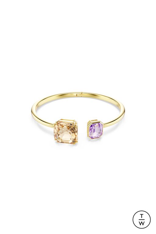 FW25 Swarovski Look 46