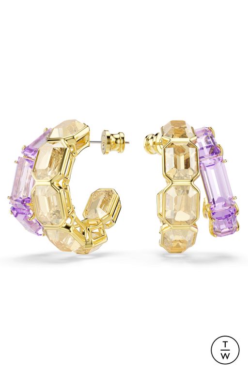 FW25 Swarovski Look 47