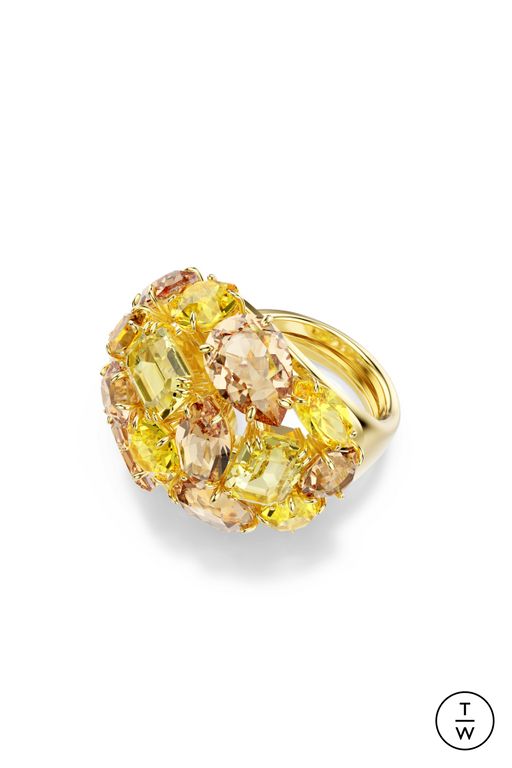 FW25 Swarovski Look 56