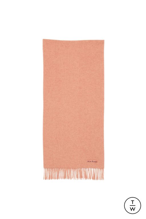 FW25 Acne Studios Look 242