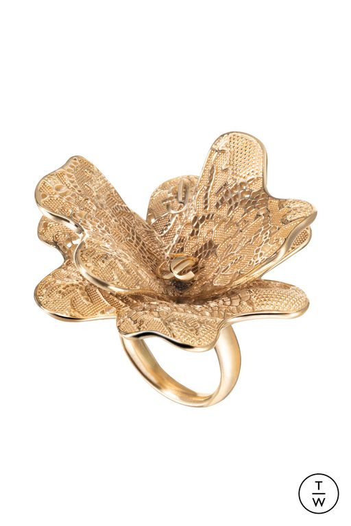 FW25 Jimmy Choo Look 109